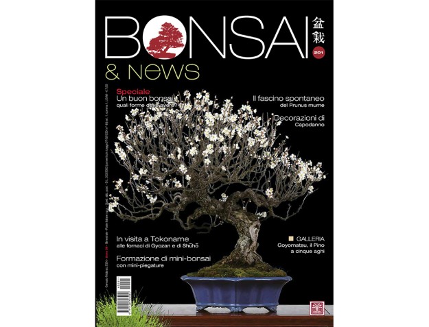 BONSAI & news 201 janvier-février 2024