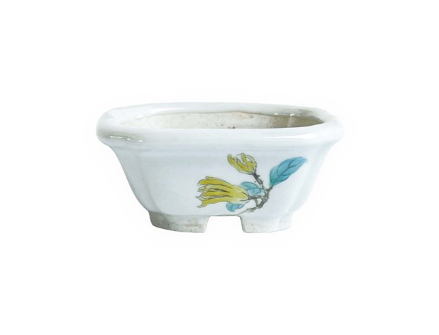 Square pot - Yellow flower - 8 cm