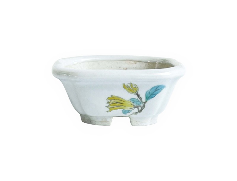 Square pot - Yellow flower - 8 cm