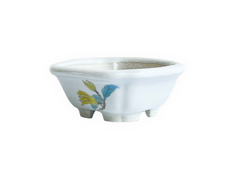 Square pot - Yellow flower - 8 cm