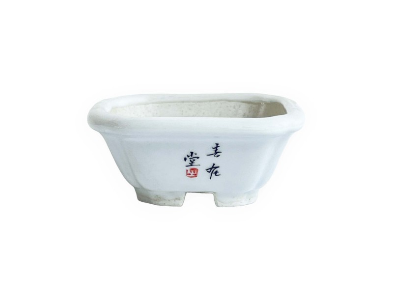 Square pot - Yellow flower - 8 cm