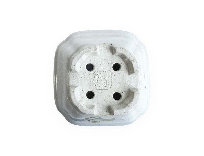 Square pot - Yellow flower - 8 cm