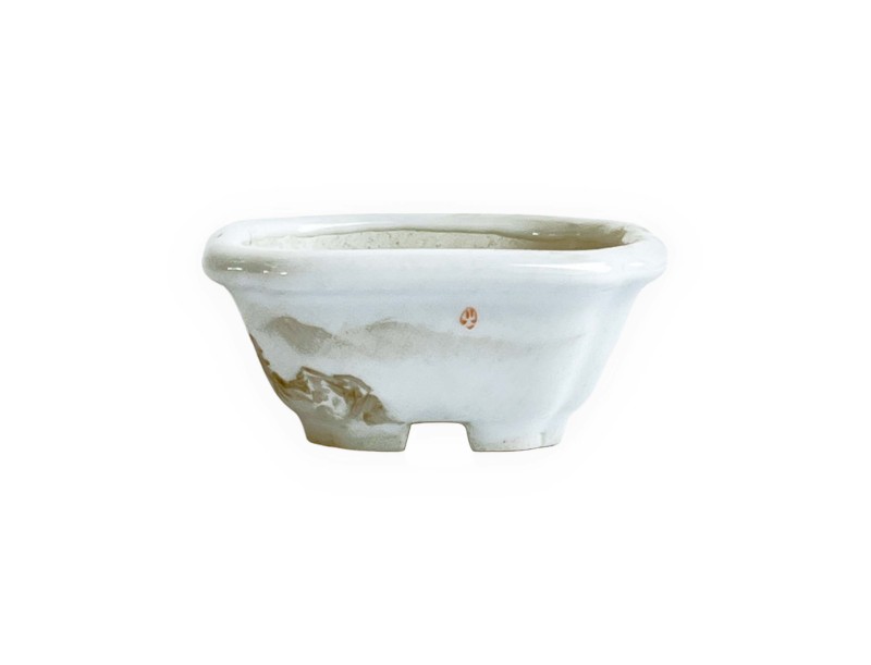 Vaso quadrato - Scogliera - 8 cm