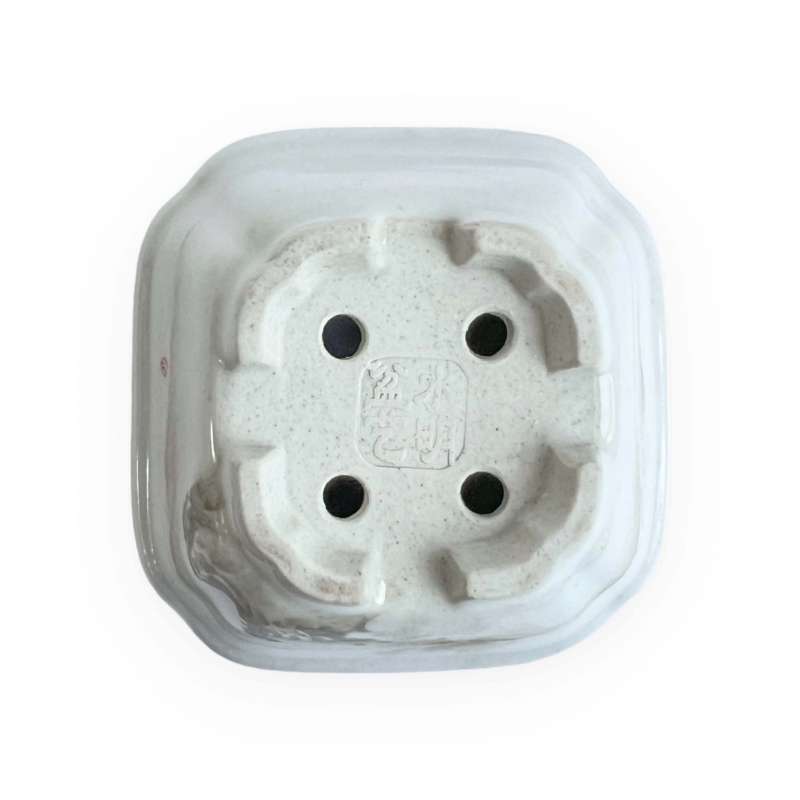 Square pot - Cliff - 8 cm