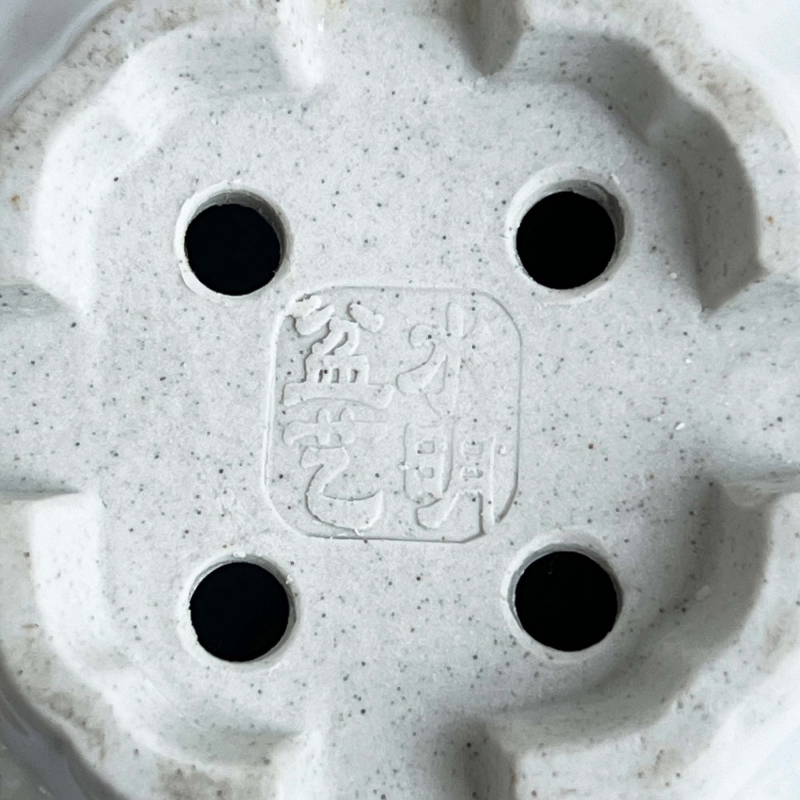 Vaso quadrato - Scogliera - 8 cm