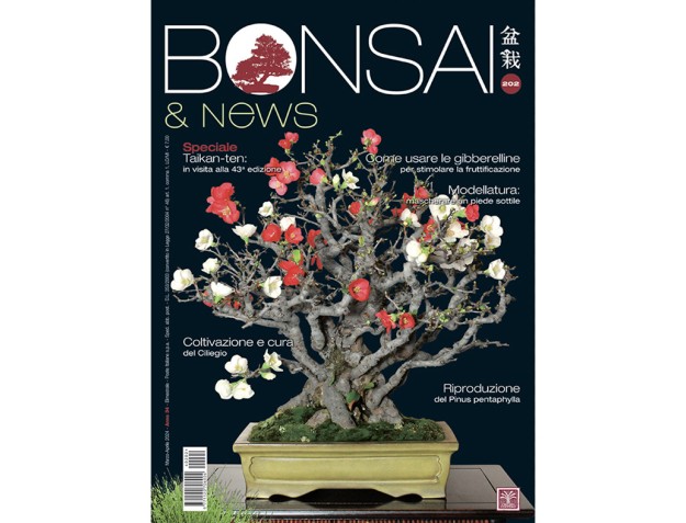 BONSAI & news 202 di marzo-aprile 2024