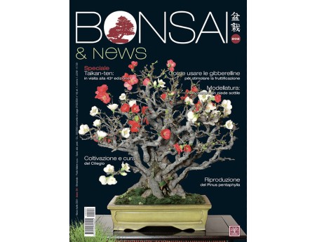 BONSAI & news 202 de mars-avril 2024
