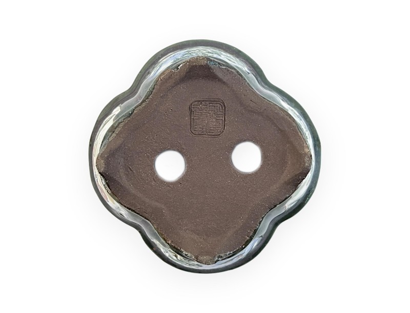 Vaso - Tosui - Bonsaista - 11,5 cm