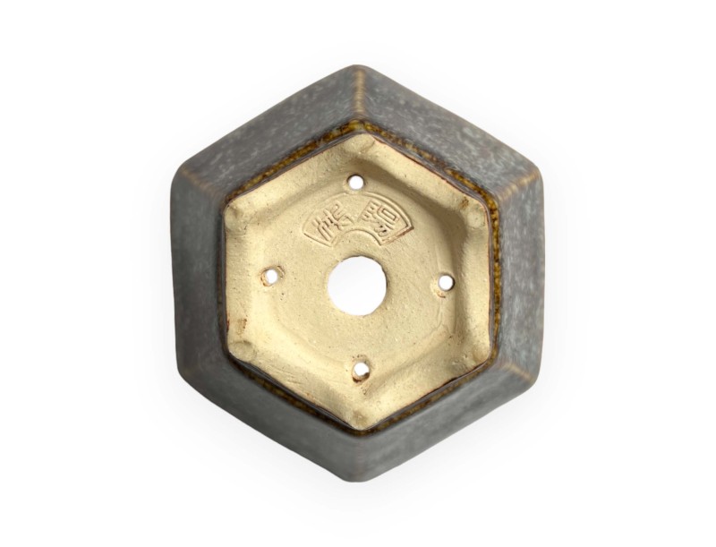 Tokoname – Koyo – 10,5 cm