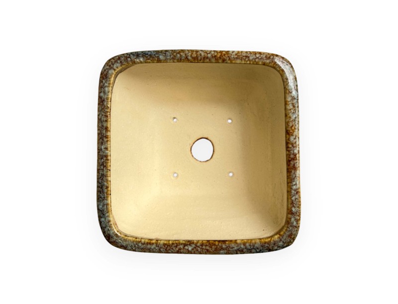 Tokoname – Koyo – 13,5 cm