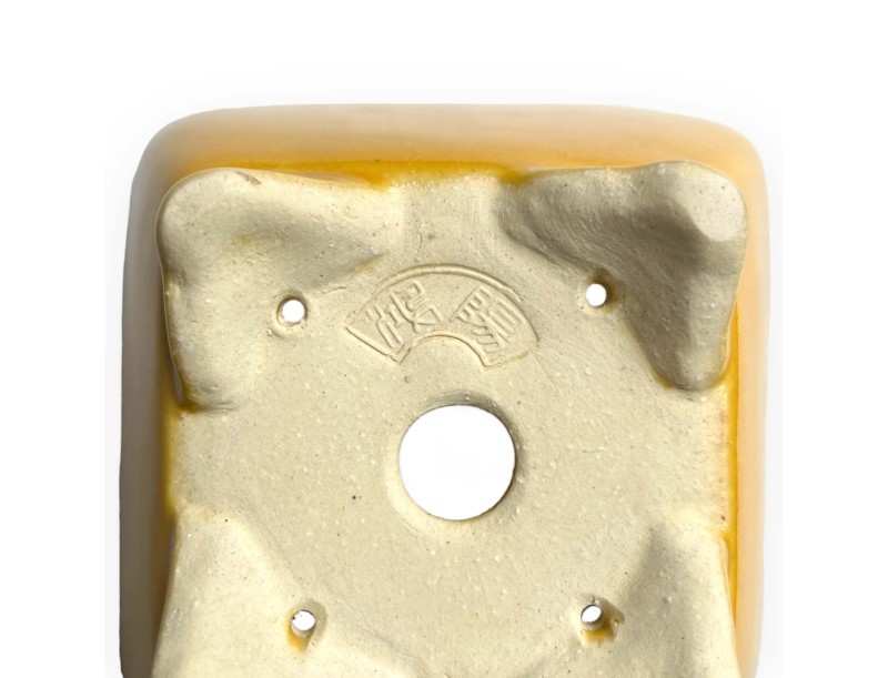 Tokoname - Koyo - 11,5 cm