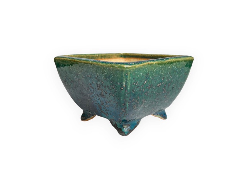 Tokoname - Koyo - 12 cm