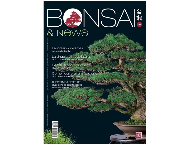 BONSAI & news 171 - Gennaio-Febbraio 2019