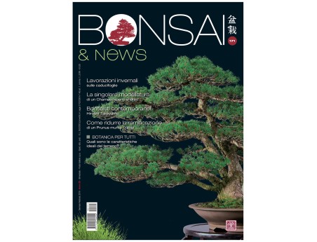 BONSAI & news 171 - Gennaio-Febbraio 2019