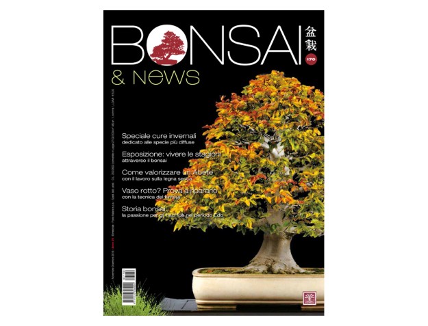 BONSAI & news 170 - November-December 2018