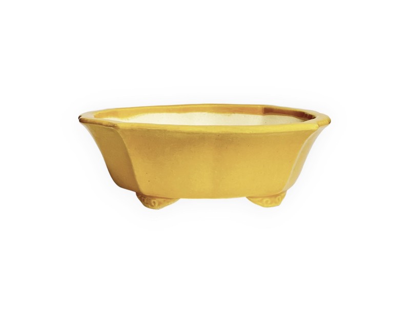 Tokoname – Koyo – 19 cm