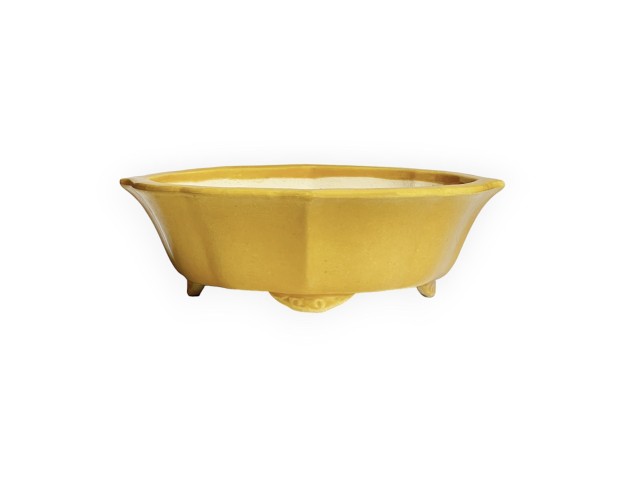 Tokoname - Koyo - 19 cm
