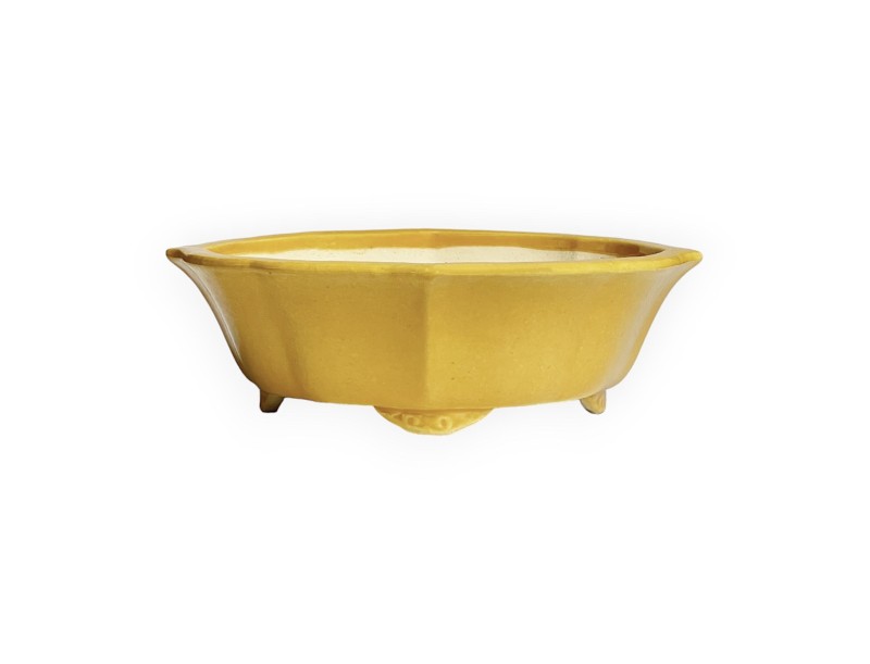 Tokoname – Koyo – 19 cm