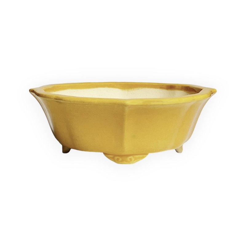 Tokoname – Koyo – 19 cm
