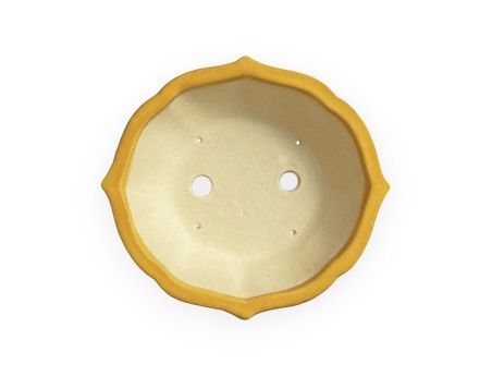 Tokoname – Koyo – 19 cm