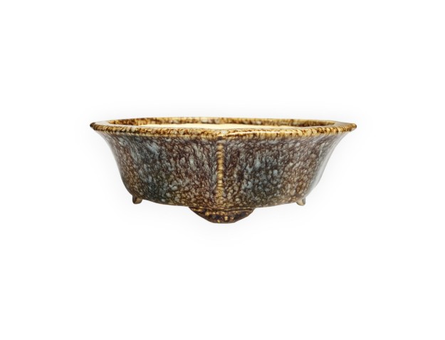 Tokoname - Koyo - 19 cm