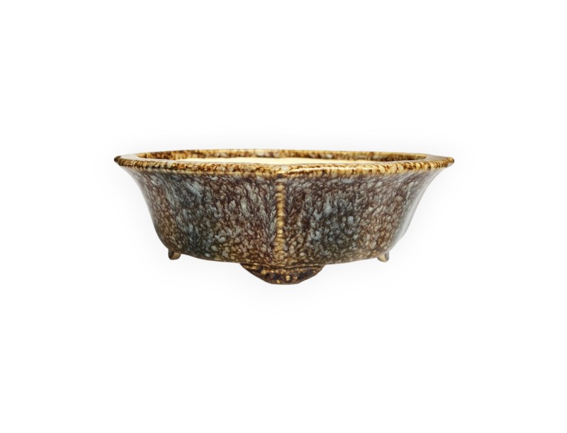 Tokoname - Koyo - 19 cm