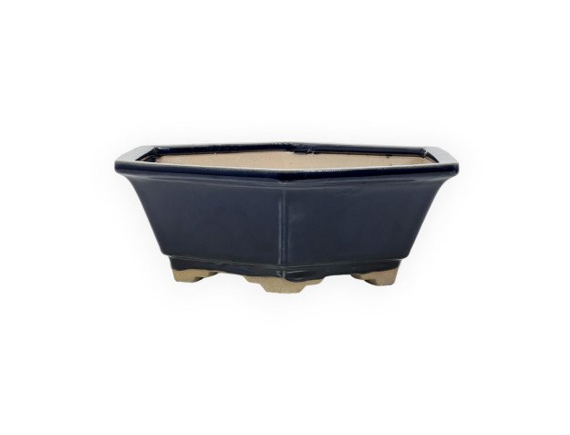 Pot 18 cm hexagonal bleu 2