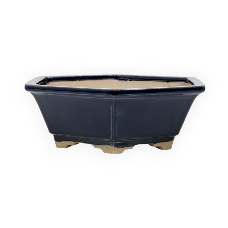 Pot 18 cm hexagonal blue