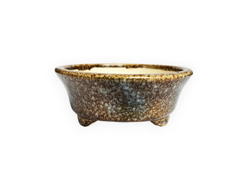 Tokoname - Koyo - 18 cm