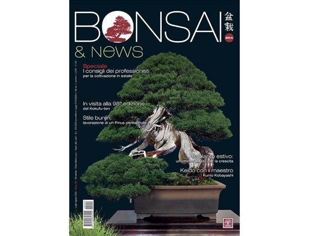 BONSAI & news 204 di luglio-agosto 2024