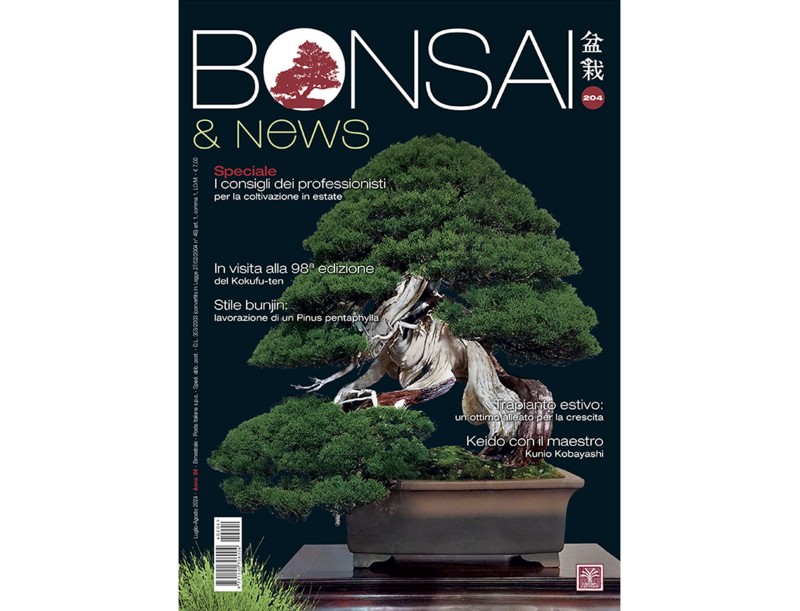 BONSAI & news 204 de Juillet-Août 2024