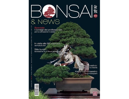 BONSAI & news 204 de Juillet-Août 2024