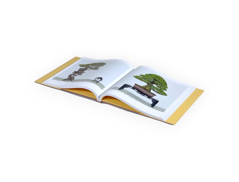 Kokufu Bonsai Exhibition Catalogue 97 - 2023