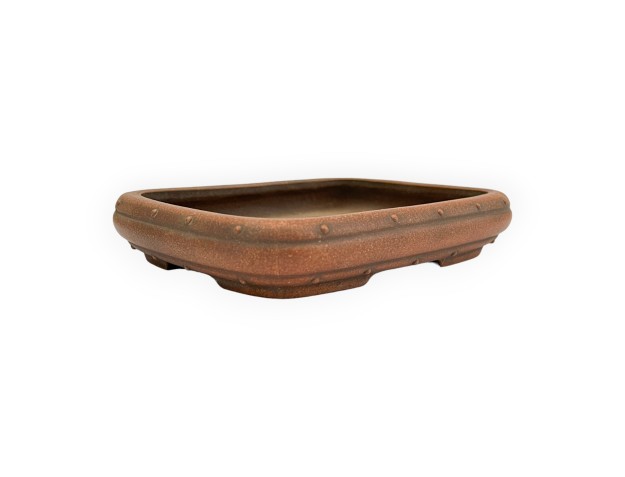 Pot - Shuiming - 16 cm 2