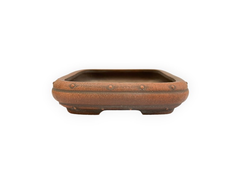 Vaso - Shuiming - 16 cm