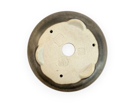 Vaso - Shuiming - 10 cm