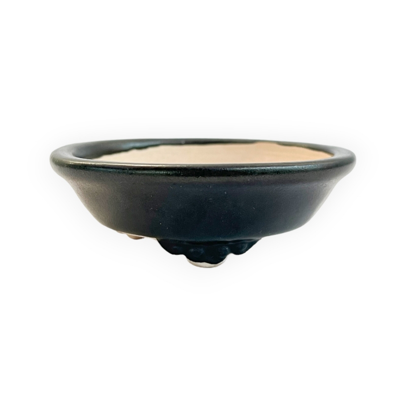 Pot - Shuiming - 8 cm