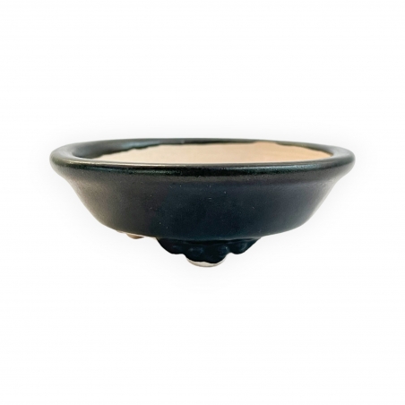 Pot - Shuiming - 8 cm