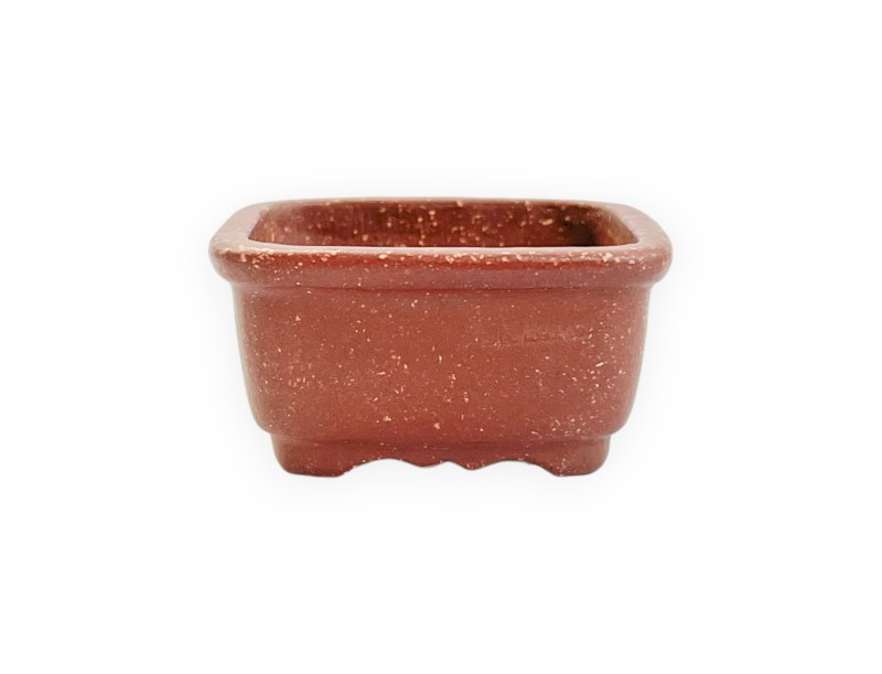 Pot - Shuiming - 6,3 cm