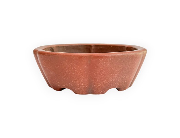 Pot - Shuiming - 11 cm 2