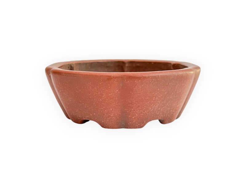 Pot - Shuiming - 11 cm