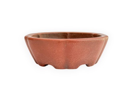 Pot - Shuiming - 11 cm