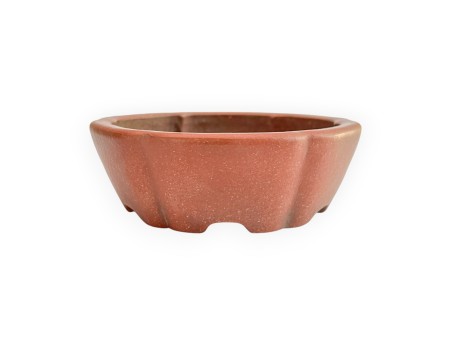 Pot - Shuiming - 11 cm