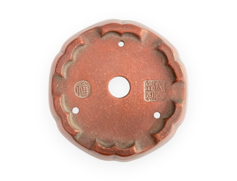 Pot - Shuiming - 11 cm