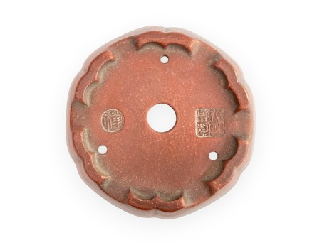 Pot - Shuiming - 11 cm