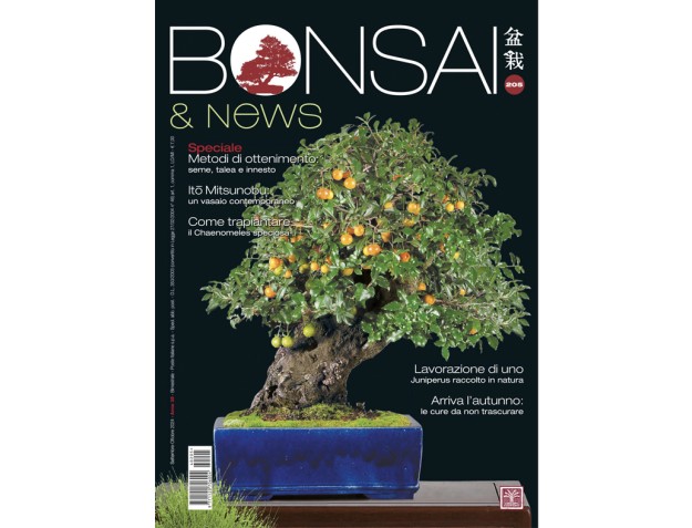 BONSAI & news  205 septembre-octobre 2024