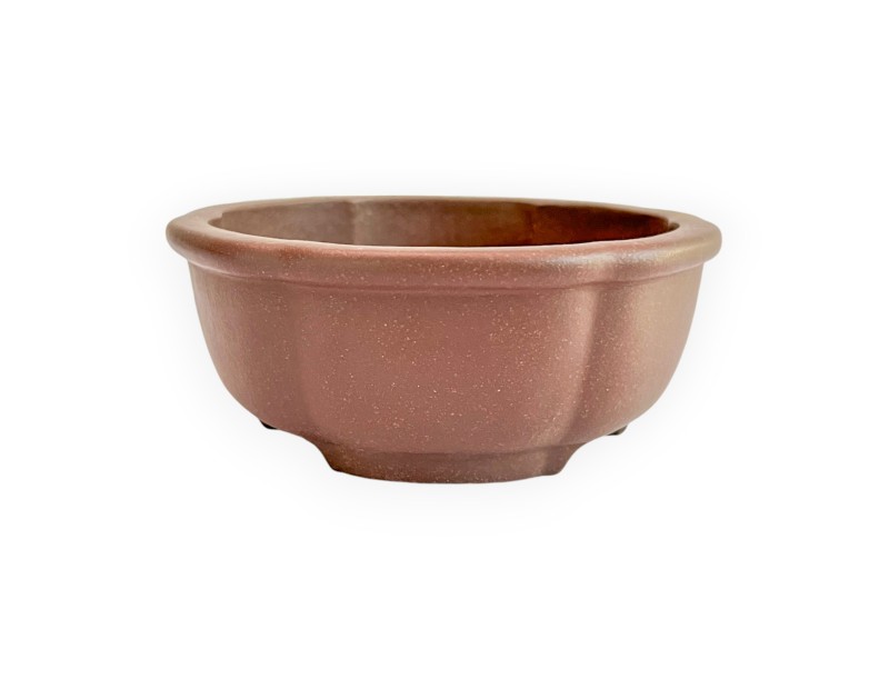 Pot - Shuiming - 11 cm
