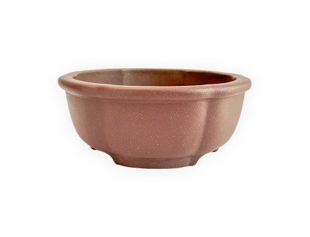 Pot - Shuiming - 11 cm