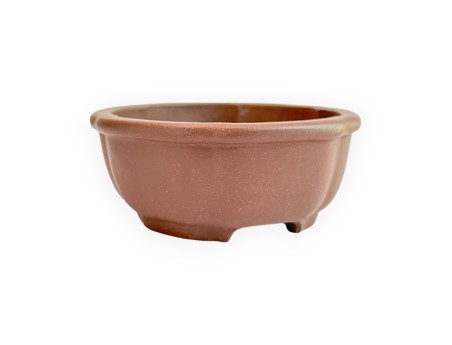Pot - Shuiming - 11 cm