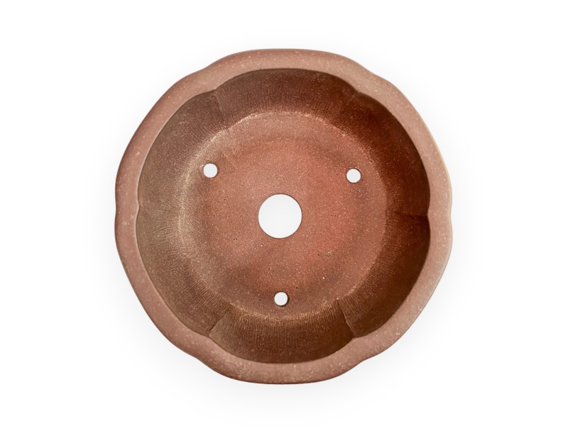 Pot - Shuiming - 11 cm